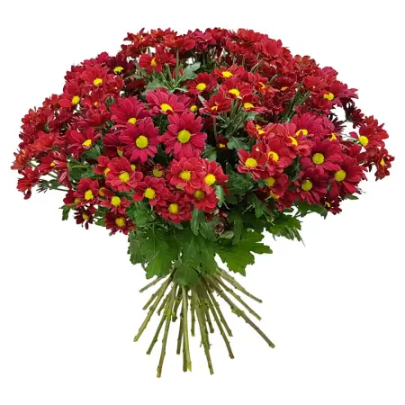 Римские каникулы