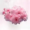 Хризантемы